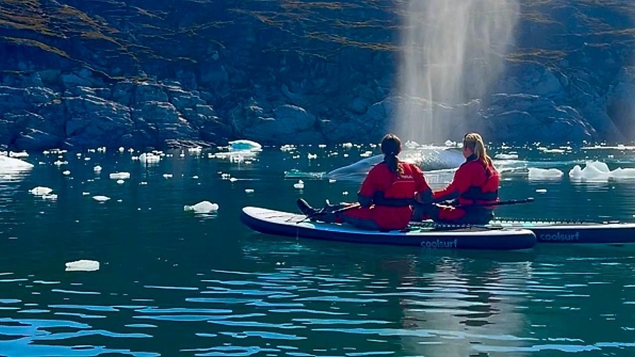 Video: Paddleboarders stunned as whale blows beside them off Greenland coast