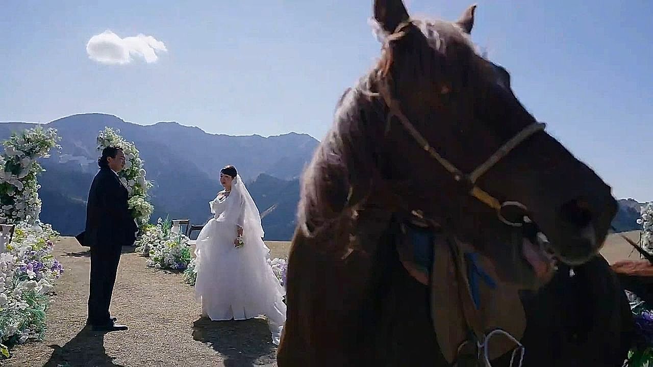 Video: Bride and groom watch in disbelief as a horse bolts through their ceremony