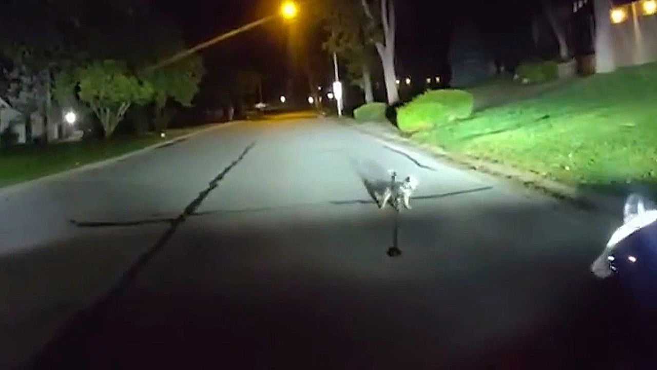 Video: Held auf vier Pfoten: Hund in Kansas führt Polizist zu hilflosem Herrchen