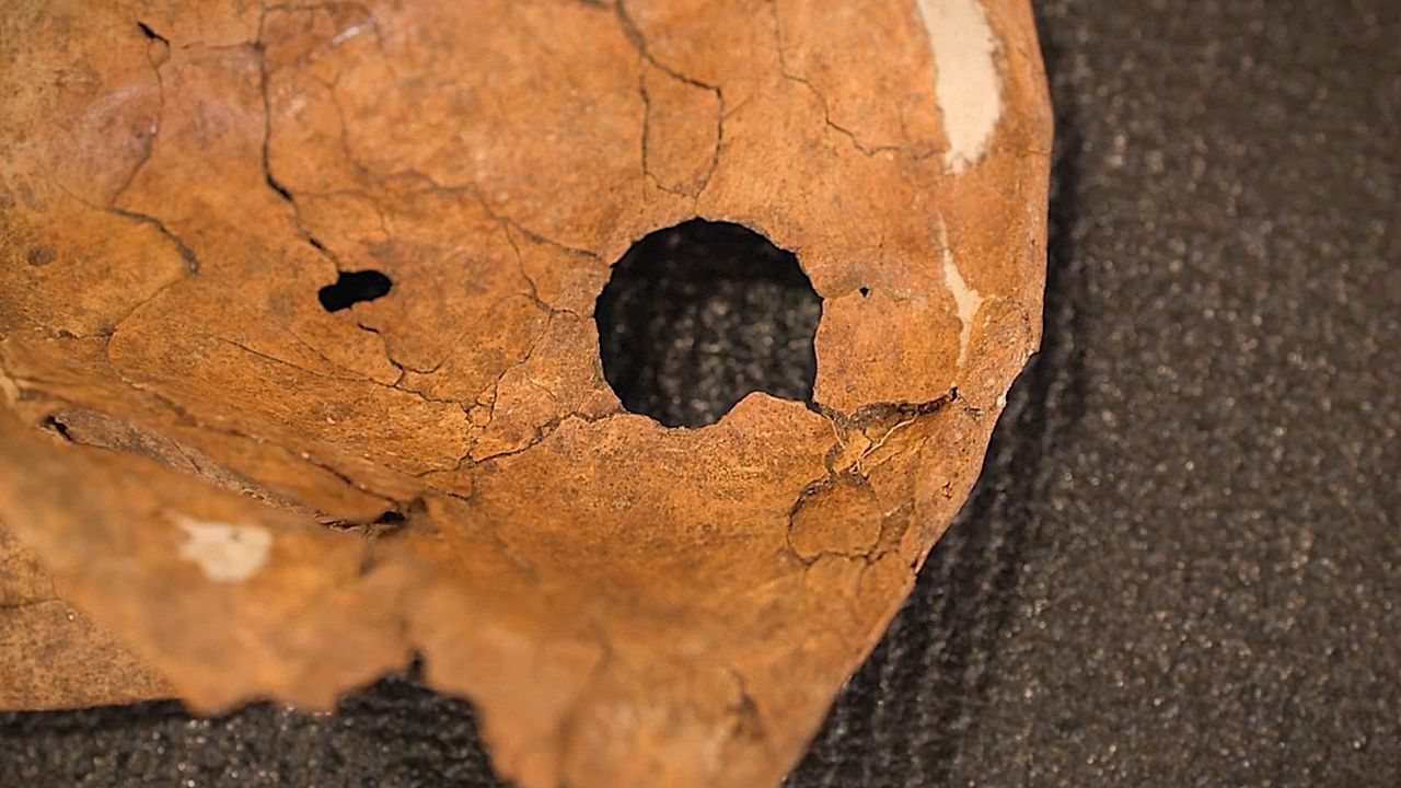 Video: Mord nach 75.000 Jahren gelöst? Neandertaler starb durch Speerstoß