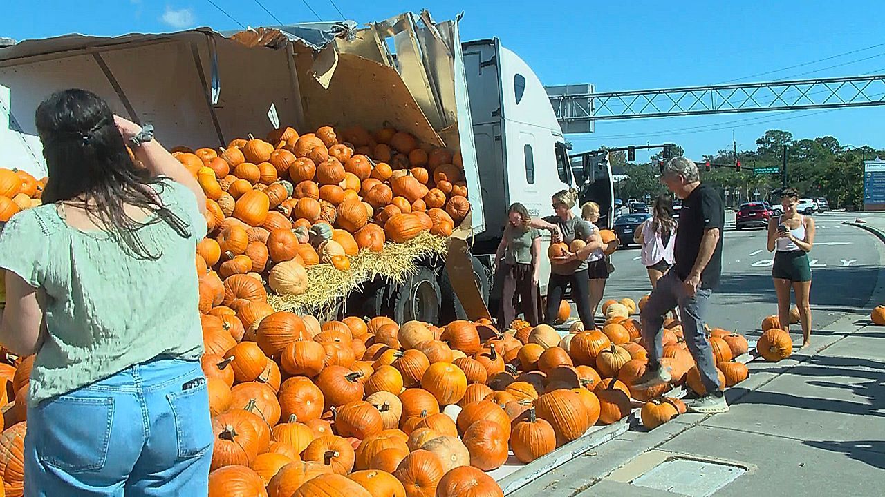 18-wheeler's trailer split open by tree limb, spills pumpkins all over South Carolina road