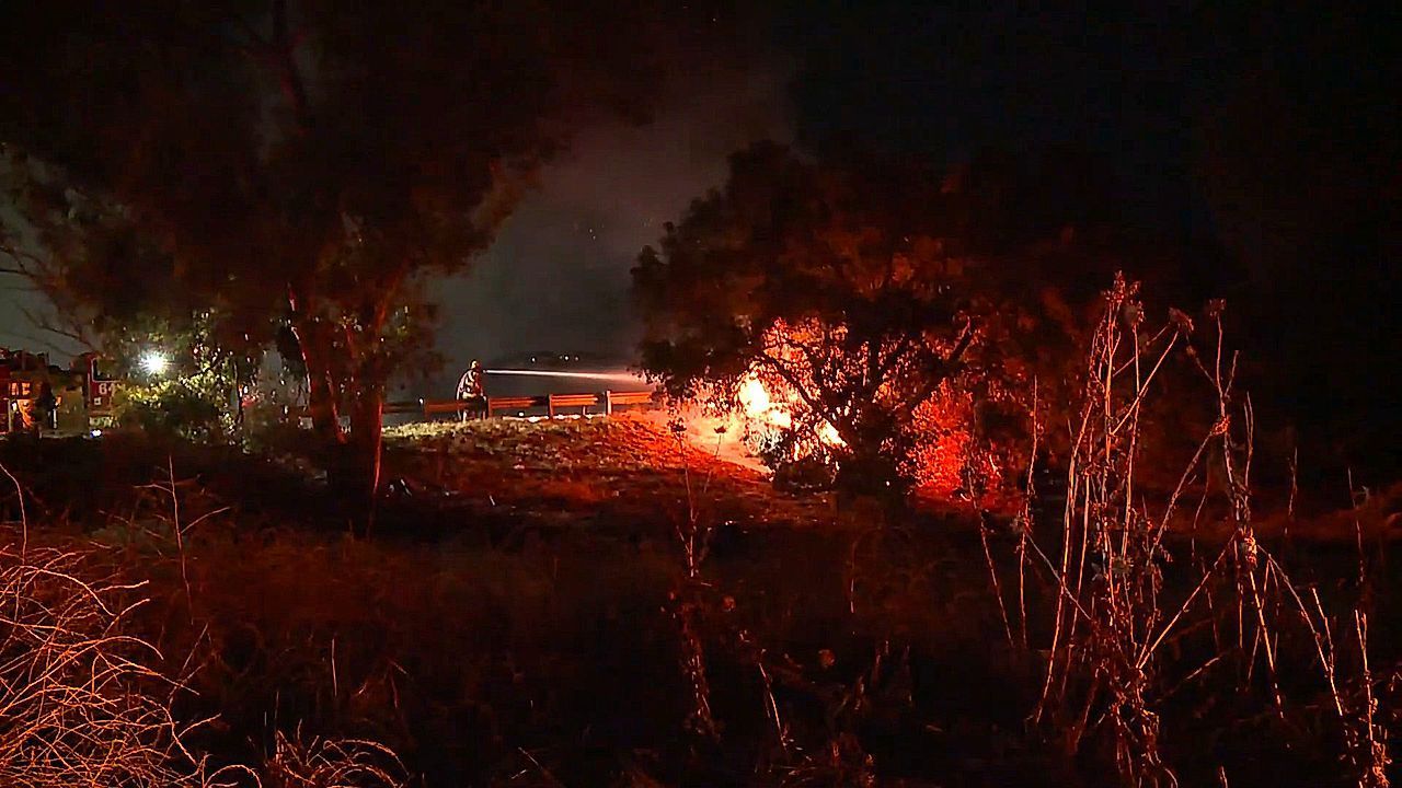 Video: Batterien in Flammen: Tesla kracht bei Los Angeles gegen Baum