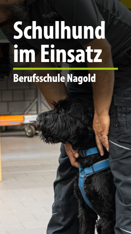 Schulhund in Nagold in action