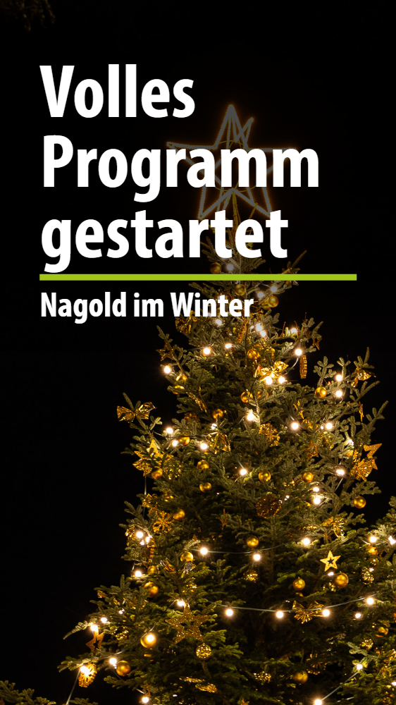 Nagold at Christmas time
