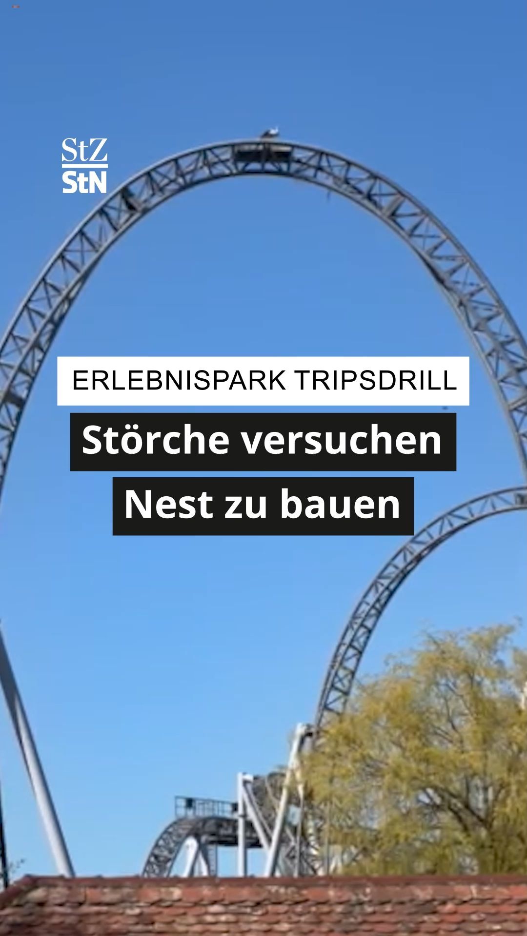 Video: Freizeitpark Tripsdrill: Störche versuchen Nest auf Looping zu bauen