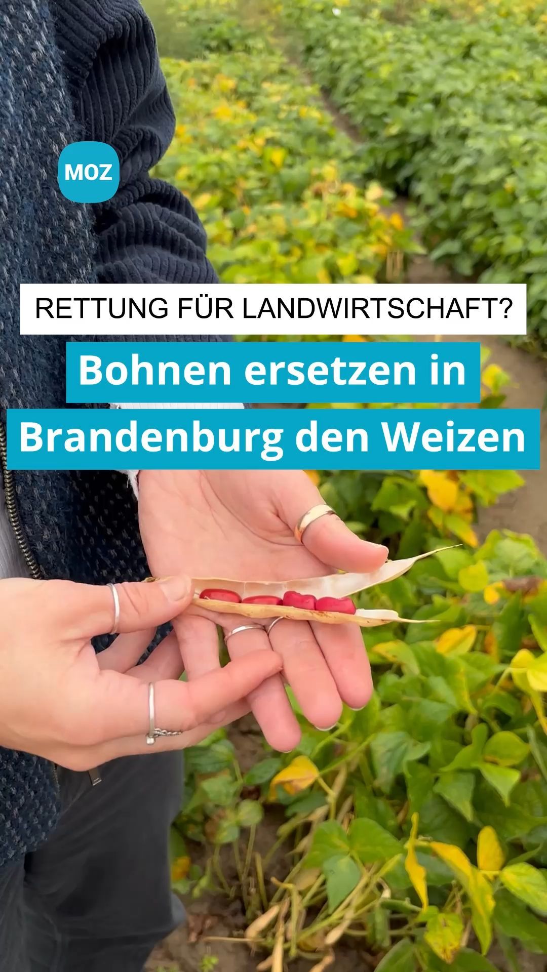 Video: Die Alternative für die Landwirtschaft