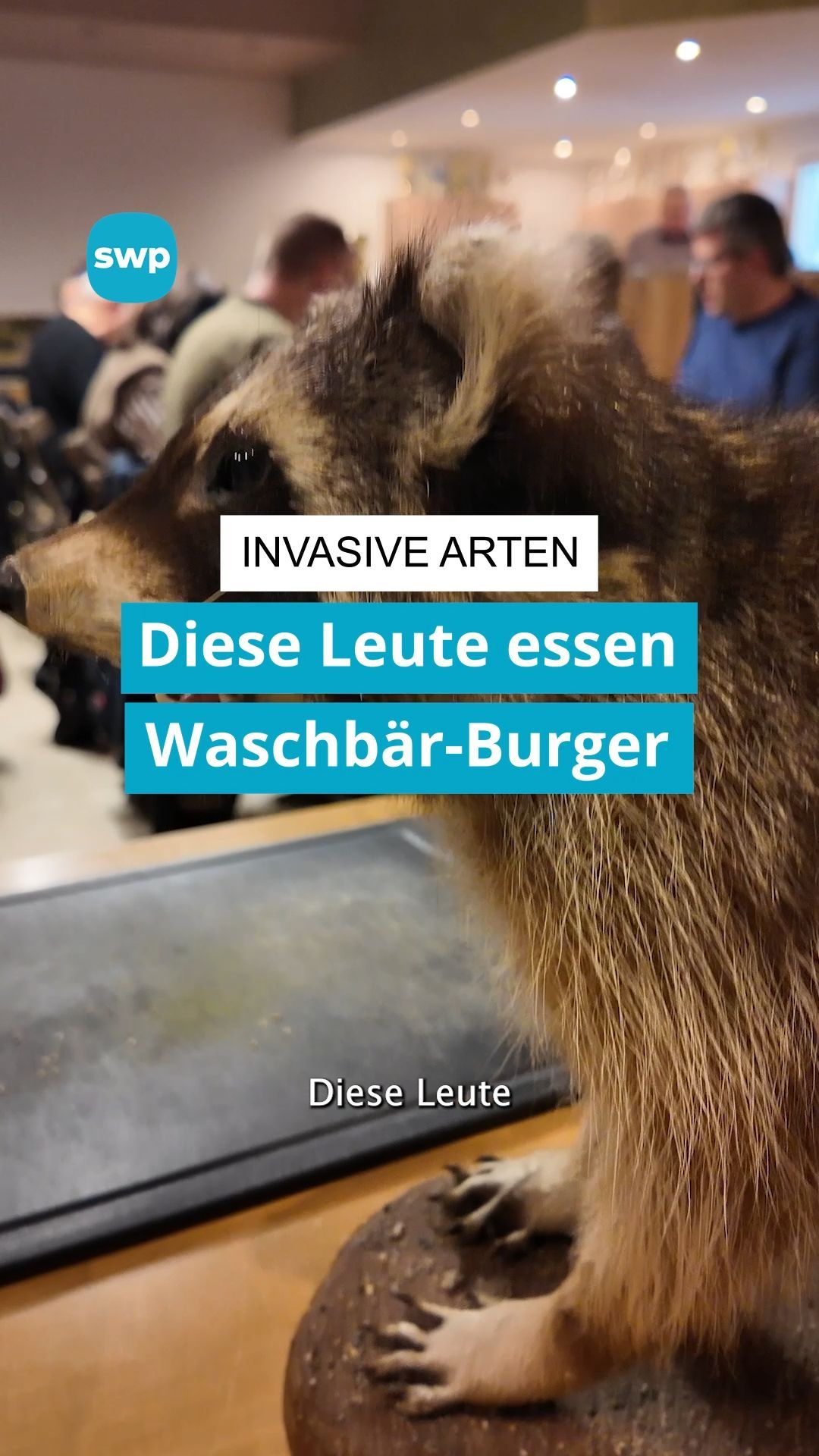 Video: Waschbär-Burger, Nutria-Spieße und Gänseragout in Gingen an der Fils