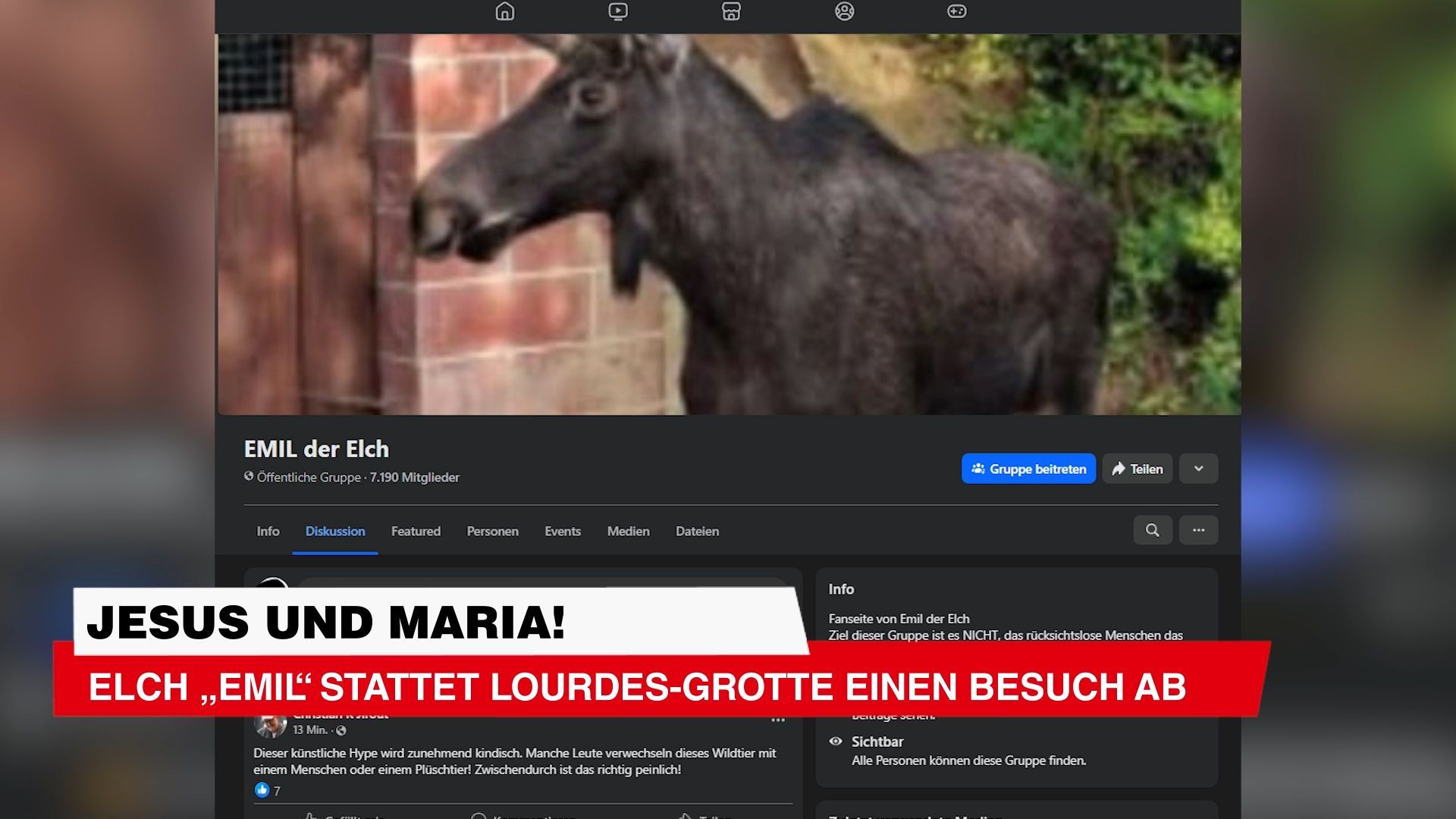 Video: Elch „Emil“ stattet Lourdes-Grotte einen Besuch ab
