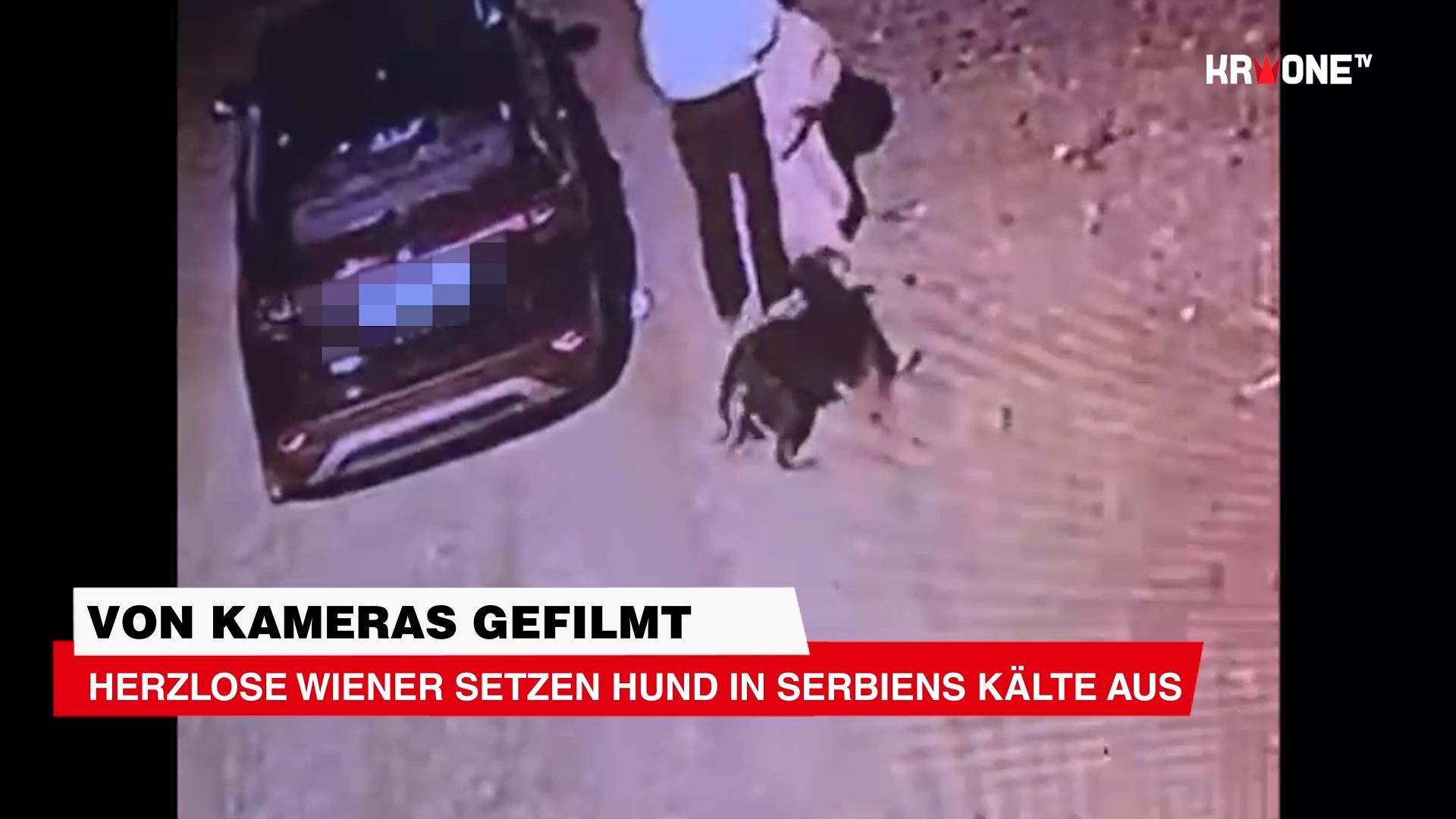 Video: Herzlose Wiener setzen Hund in Serbiens Kälte aus und wurden dabei von Kamera gefilmt