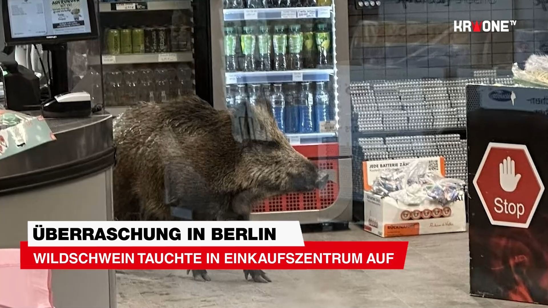 Video: Überraschung in Berlin ++ Wildschwein tauchte in Einkaufszentrum auf