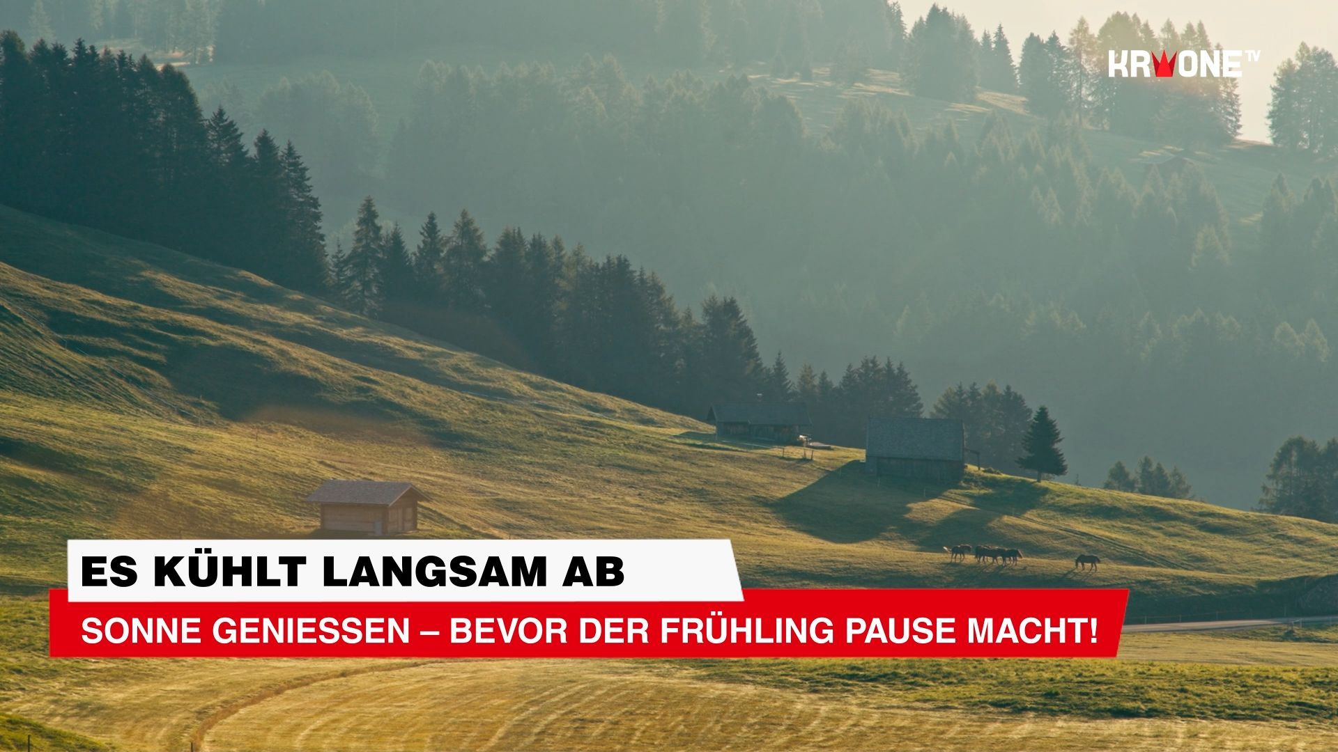 Video: Sonne genießen – bevor der Frühling Pause macht!