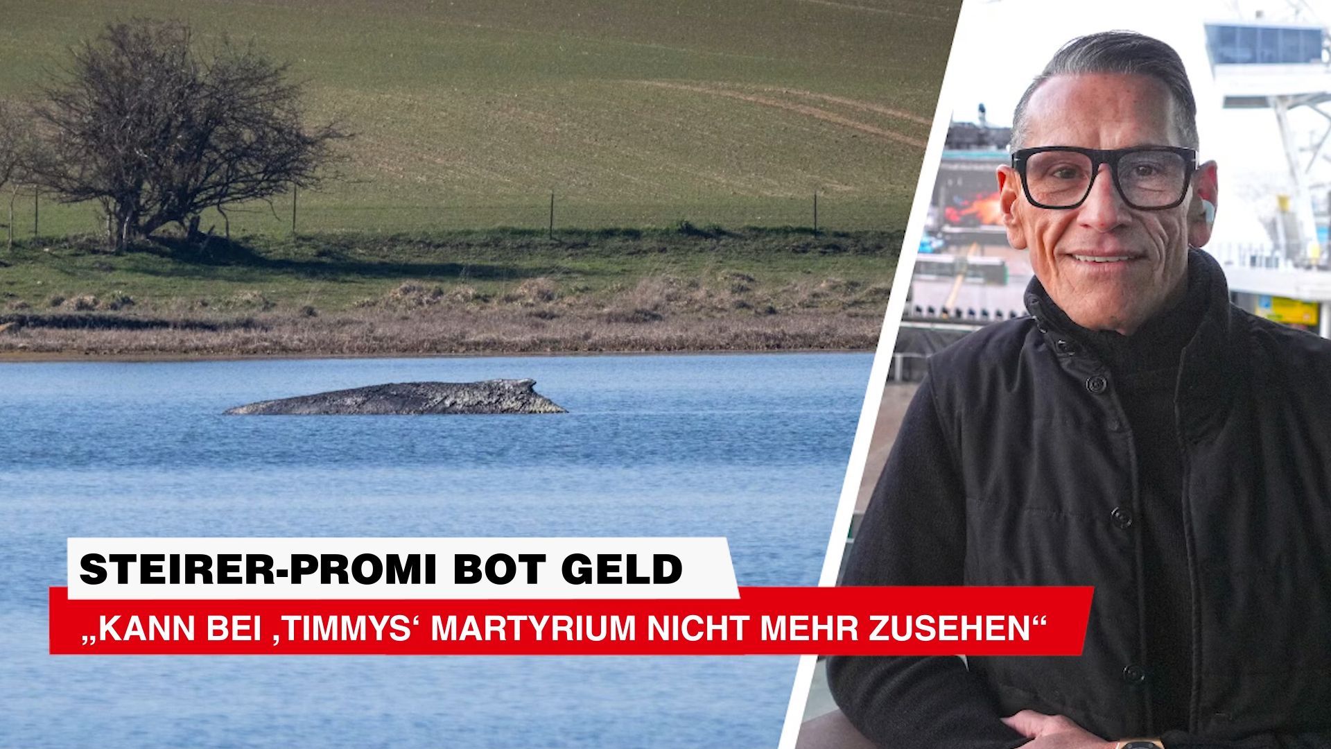 Video: Steirer-Promi bot Geld ++ „Kann bei ,Timmys‘ Martyrium nicht mehr zusehen“