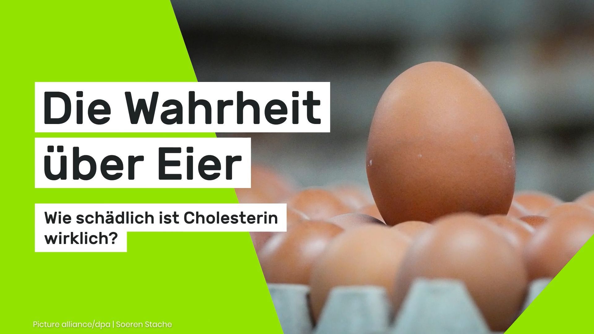 The Truth About Eggs: How Harmful is Cholesterol Really?
