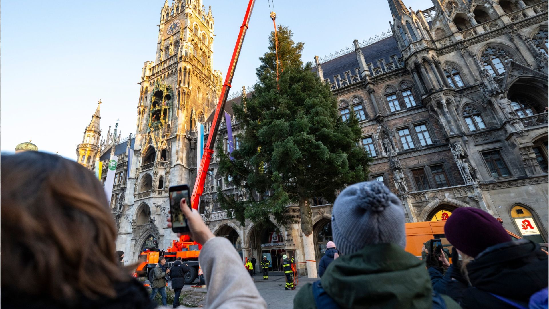 Weihnachten steht vor der Tür: Christbaum auf dem Marienplatz aufgestellt