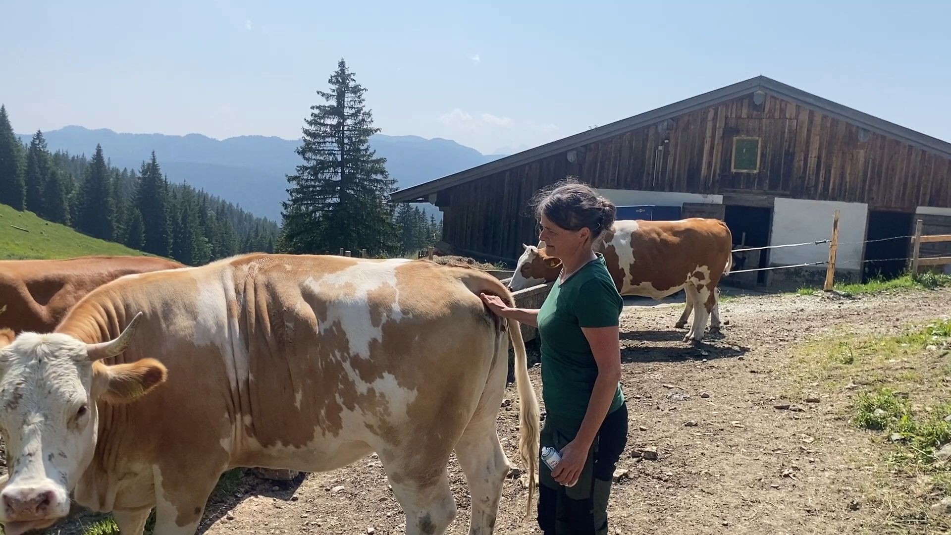 Video: Auf der Alm: Die Dürrnbachalm