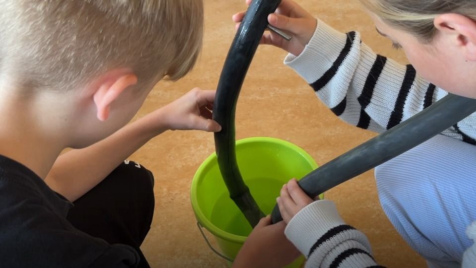 Video: Eine Woche Alltagskompetenzen am Donau-Gymnasium in Kelheim