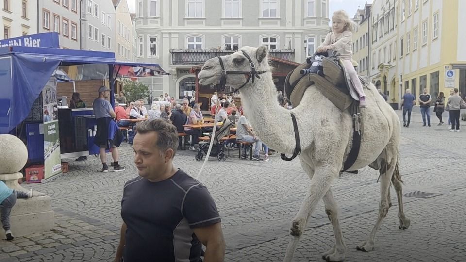 Video: Impressionen vom Eichstätter Kirchweihmarkt