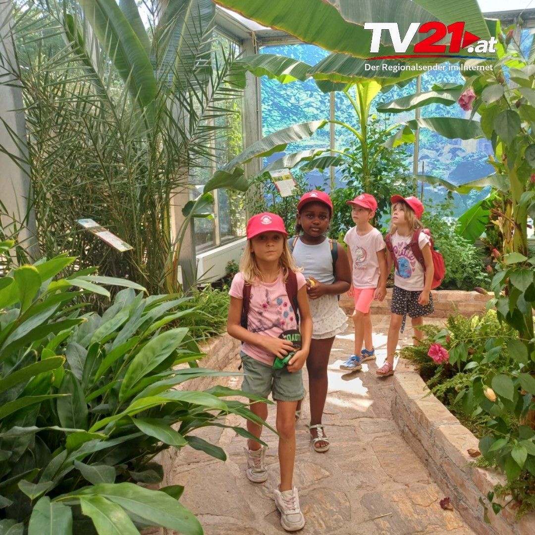 Video: Strasshof | Dinos & Schmetterlinge – ein Ferientag voller Abenteuer