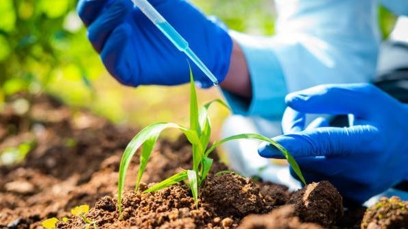 Robotertechnik in der Landwirtschaft soll klimaresistente Pflanzen schaffen