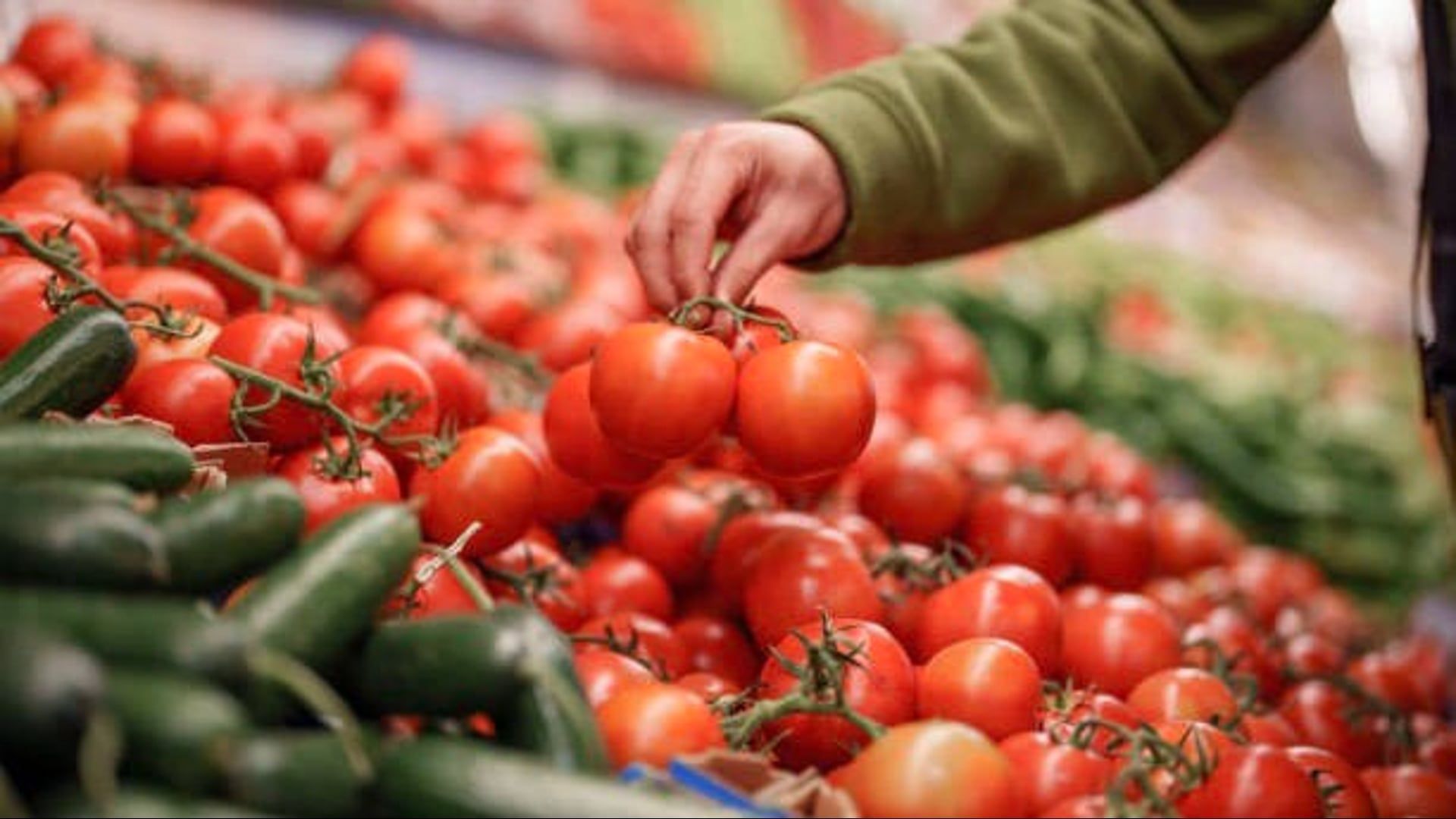 Video: Tomaten in den Südstaaten von der FDA wegen Salmonellen zurückgerufen