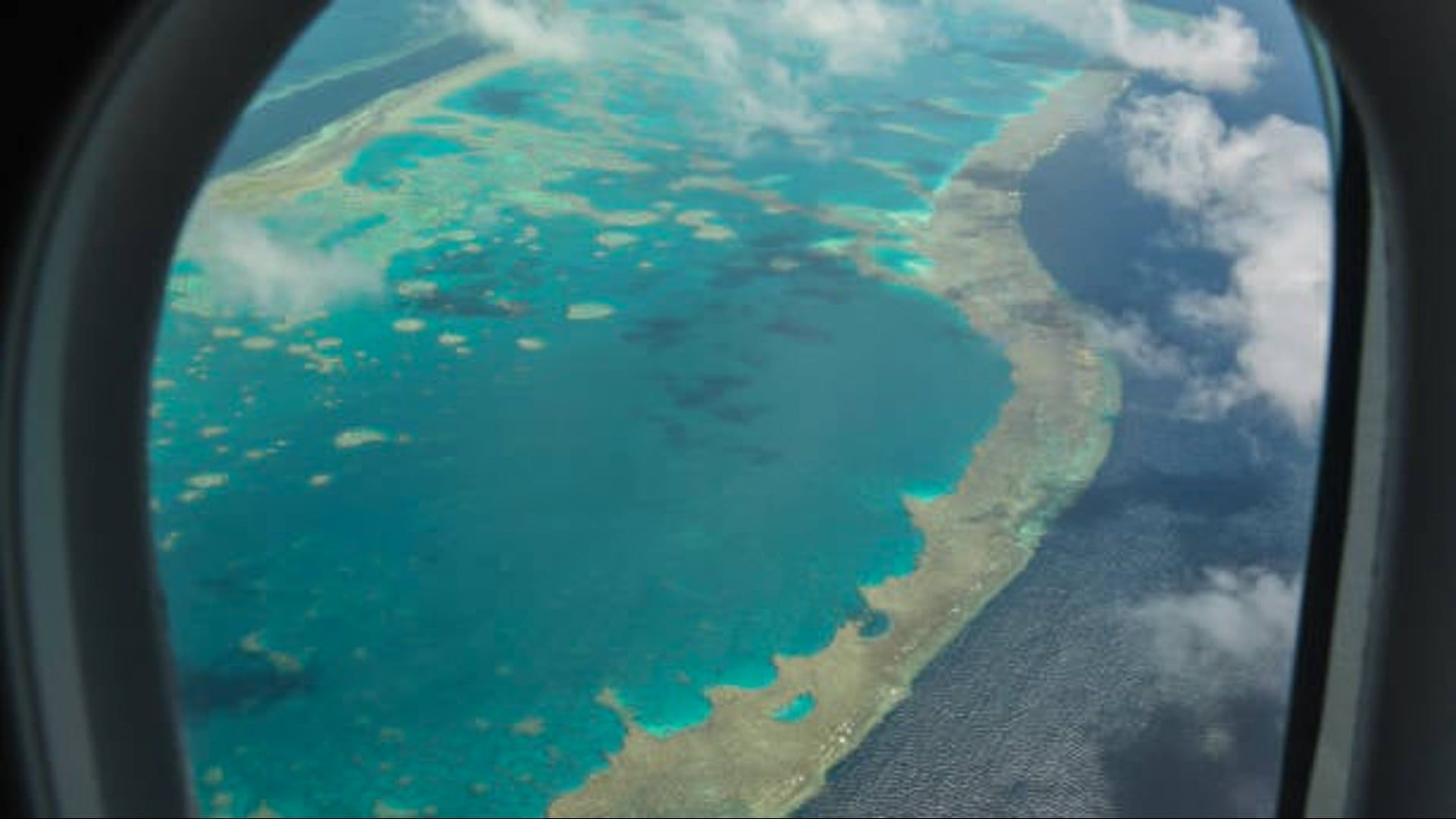 Video: Great Barrier Reef erlebt Rekord-Korallenrückgang