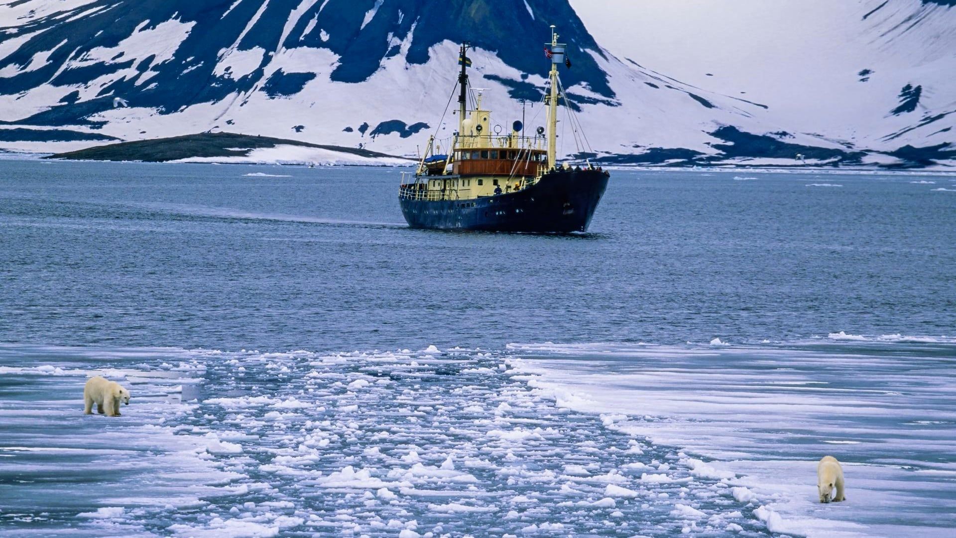 Video: Donald Trump öffnet das Arctic Wildlife Refuge wieder für Ölbohrungen
