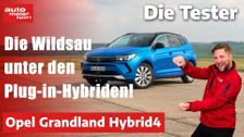 Opel Grandland Hybrid4: The efficient 300 hp wild boar!