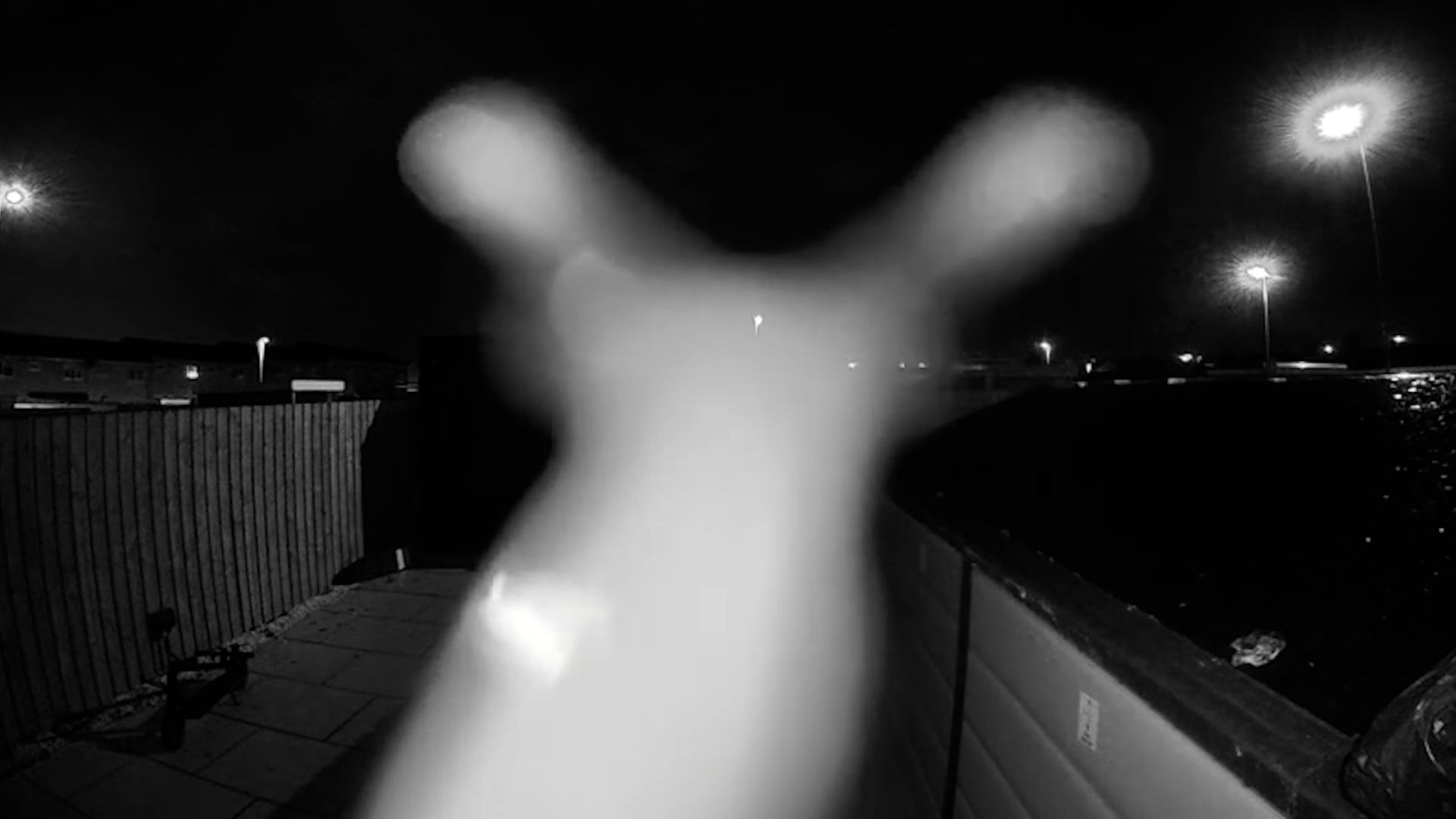 Video: Schnecke löst Ringkamera aus – weckt Frau mitten in der Nacht