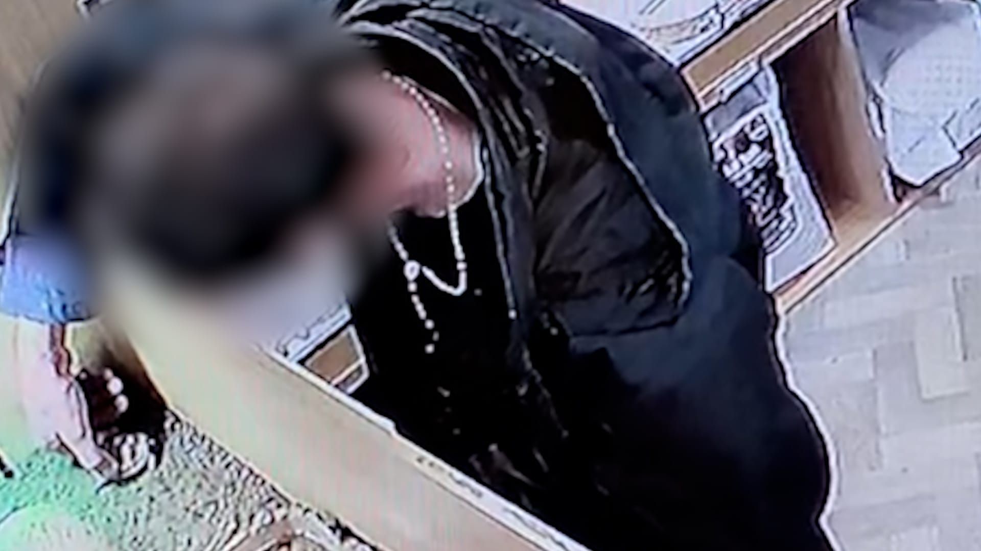 Video: Moment, in dem zwei Schildkröten dreist aus Tierhandlung gestohlen werden
