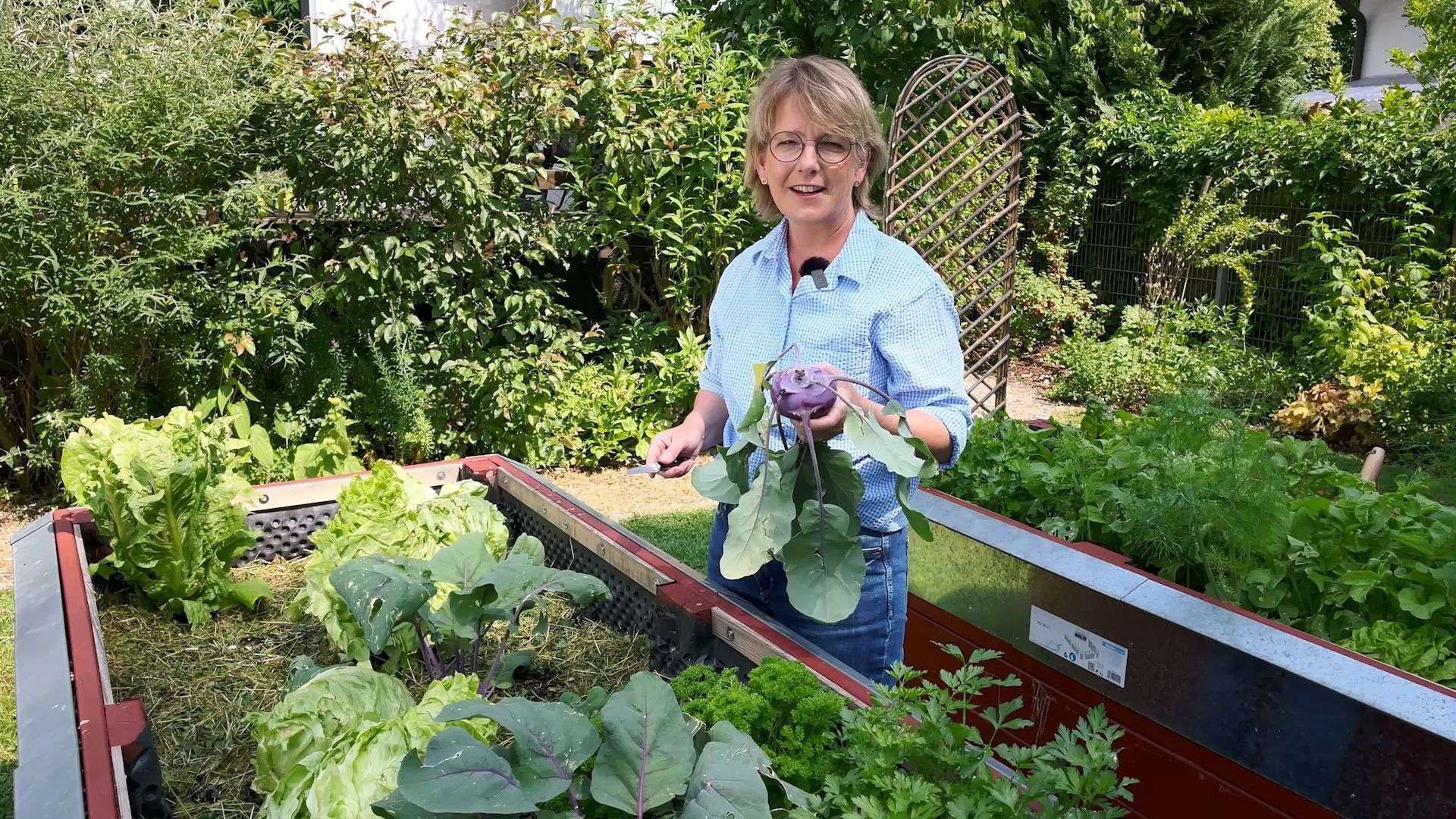 Garden Tips for August: Don't Miss These Tasks!