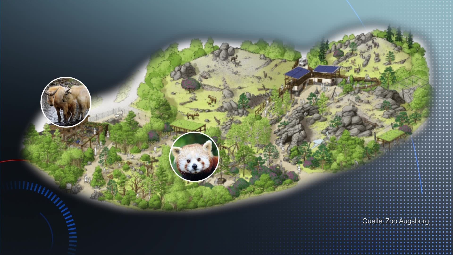 Video: Das Himalaya-Land kommt in den Augsburger Zoo