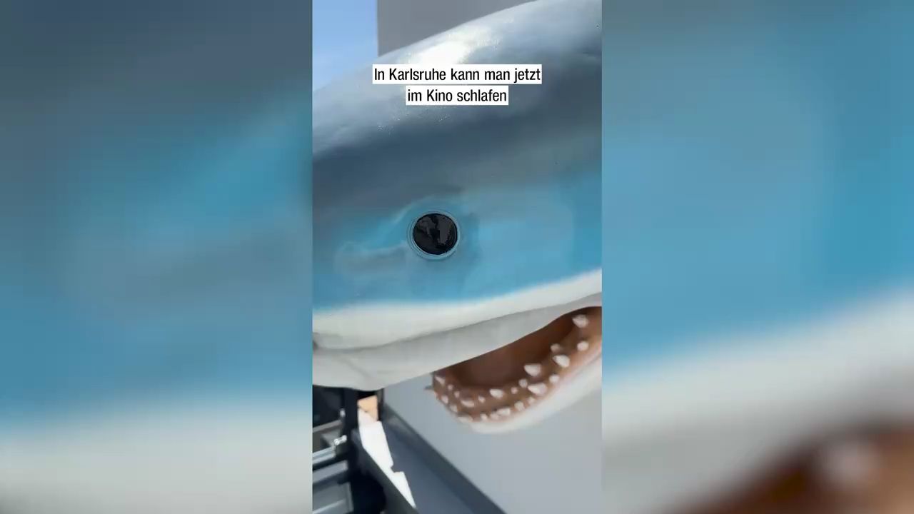 Video-Clip (2025-07-31 19_51_29)