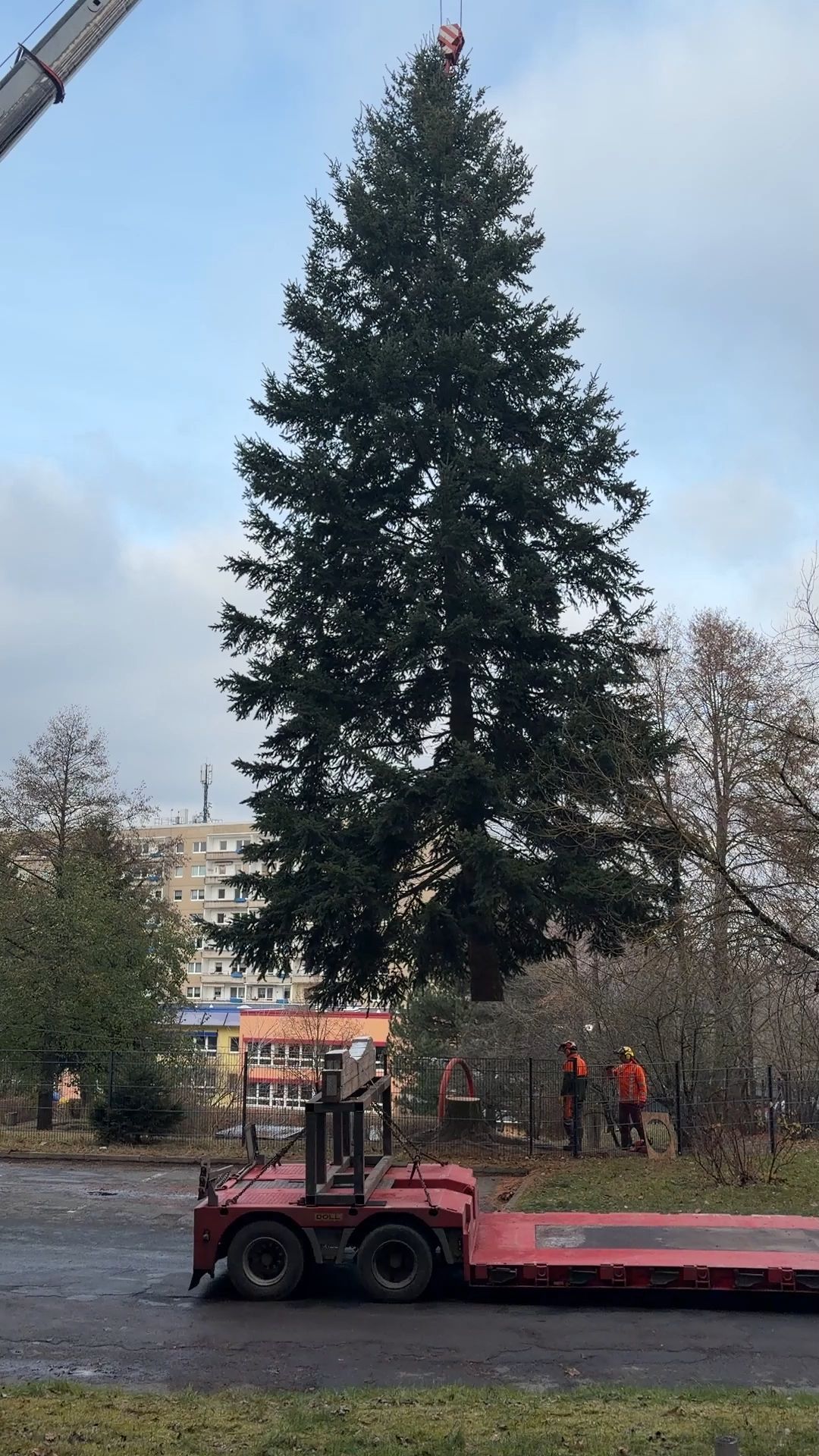 Video: Zweiter Versuch: Anlieferung des Weihnachtsbaums in Aue/Sachsen