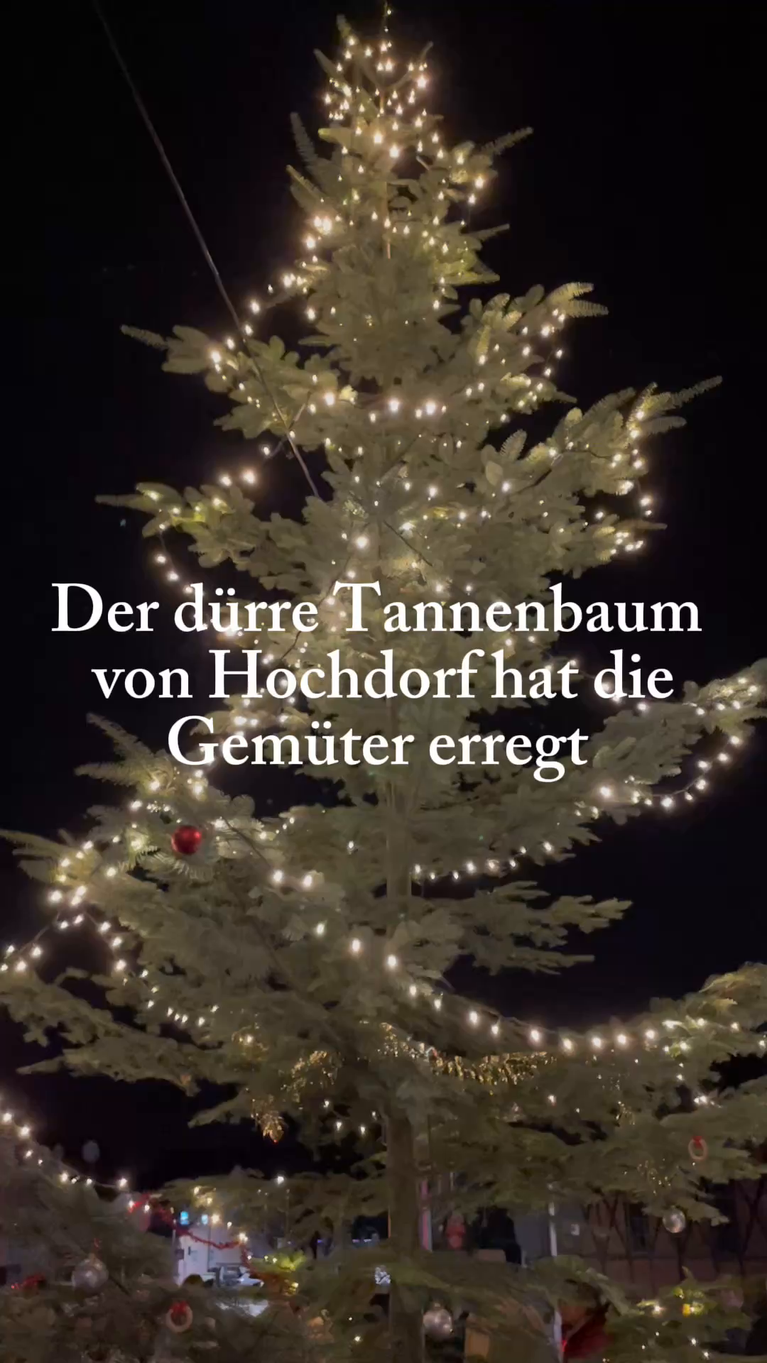 Video: Der dürre Tannenbaum von Hochdorf hat die Gemüter erregt