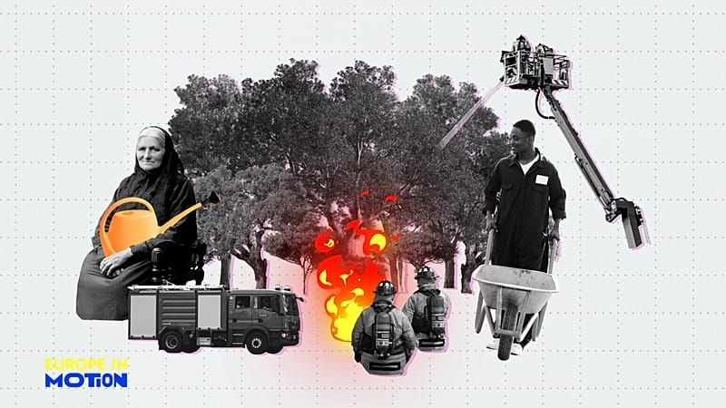 Portugals Waldboom hat einen brandgefährlichen Preis