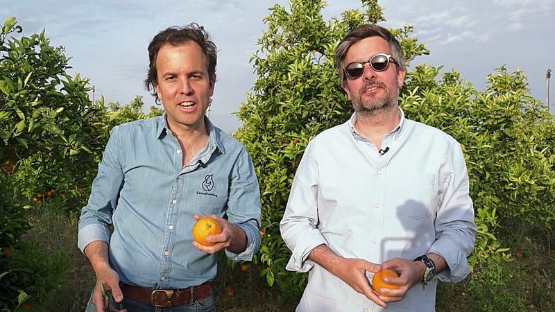 Video: CrowdFarming: Plattform für besseres Essen in Europa