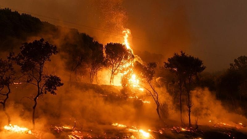 Video: Waldbrand-Alarm: Wie groß ist die Gefahr jetzt in Deutschland?