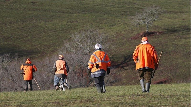 Video: Prozess gegen französischen Milliardär wegen Jagd auf geschützte Vogelarten