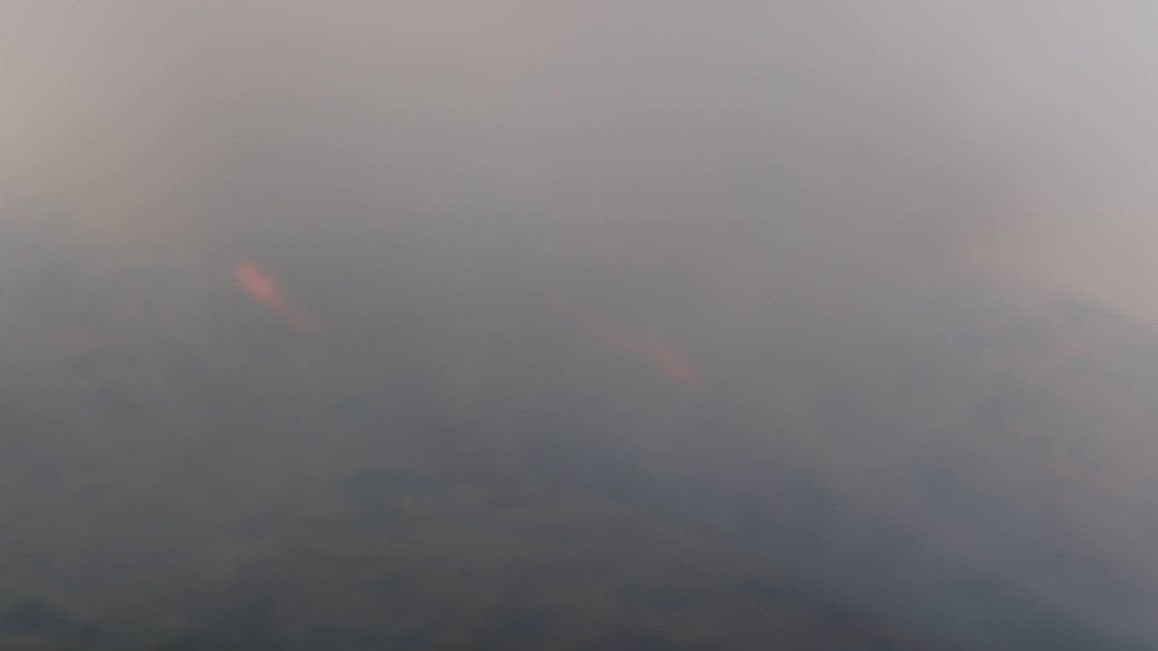 Italy: Italy fights heatwave as wildfires spread in multiple regions