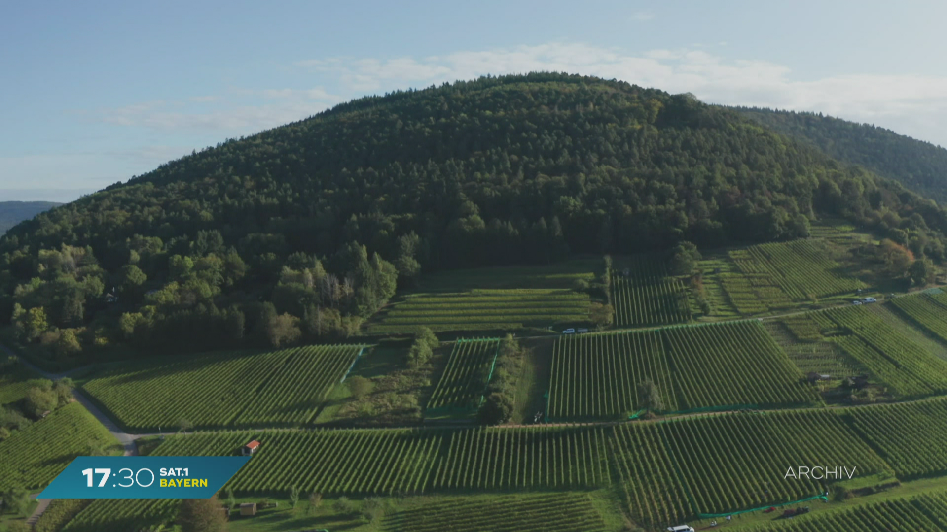 Landwirtschaft in Franken: Hohe Verluste bei Wein- und Obsternte erwartet
