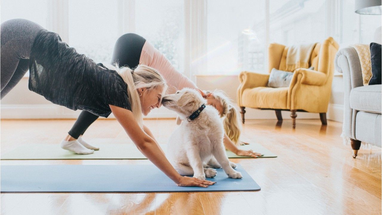 Kritik an Trendsport: Europäisches Land verbietet "Puppy-Yoga"