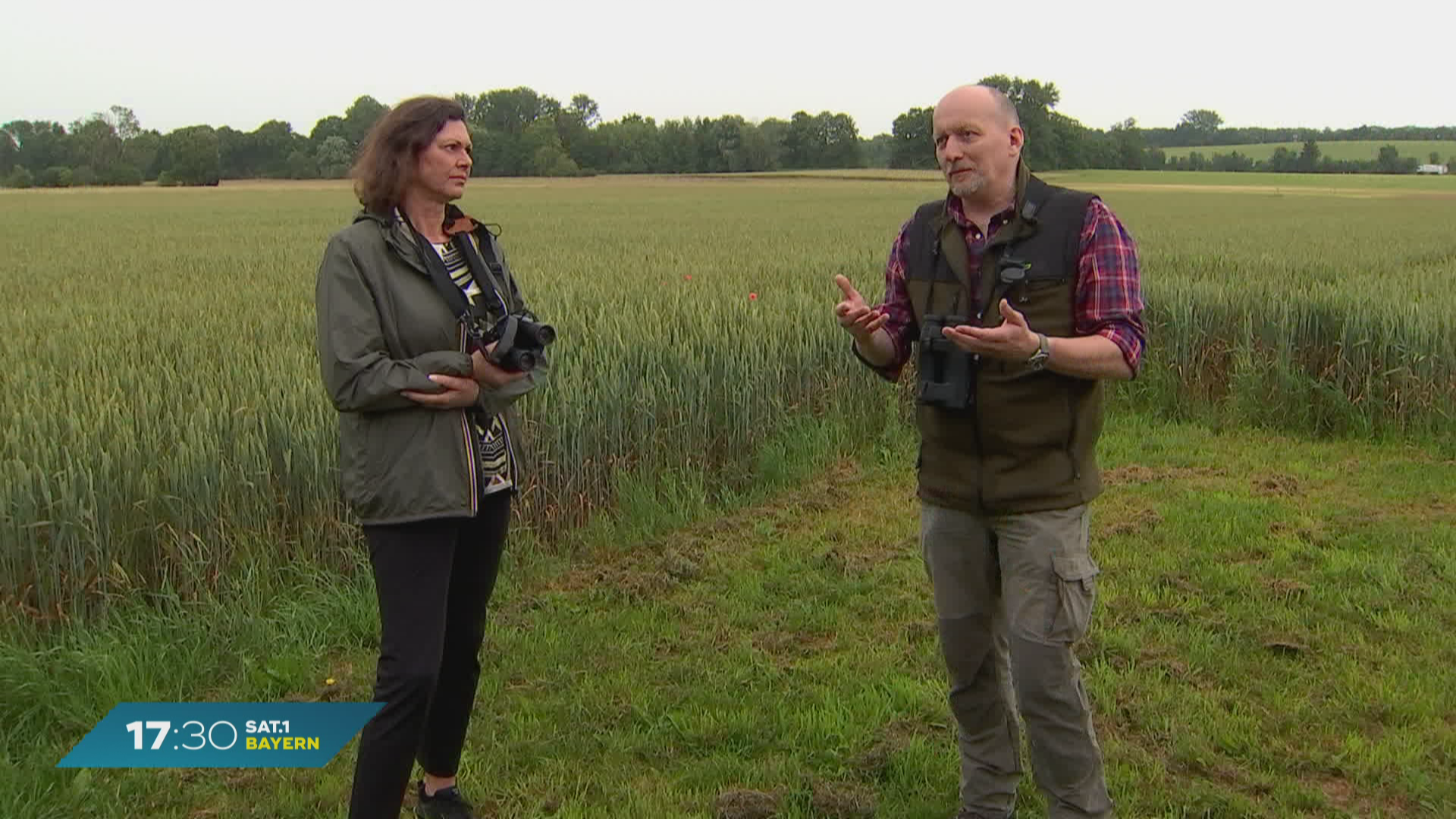 Naturschutz in Bayern: Wie wichtig ist die Jagd?