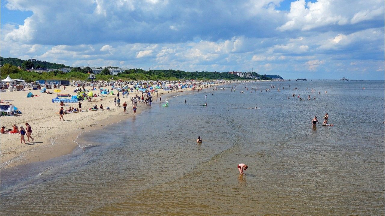 Ostsee stark belastet: Wissenschaftler warnen