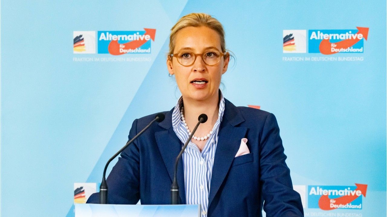 "Nase voll": Weidel fordert mindestens fünf Jahre Einwanderungs-Stopp - Video