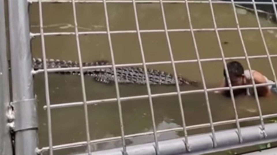 Tourist springt für Selfie in Krokodil-Gehege