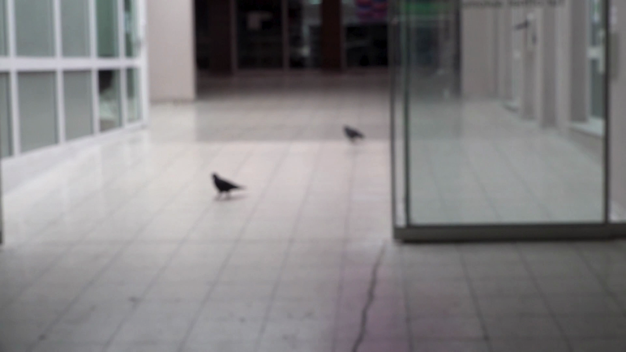 Video: Leerstand in Solingen: Suche nach Lösungen für Innenstädte