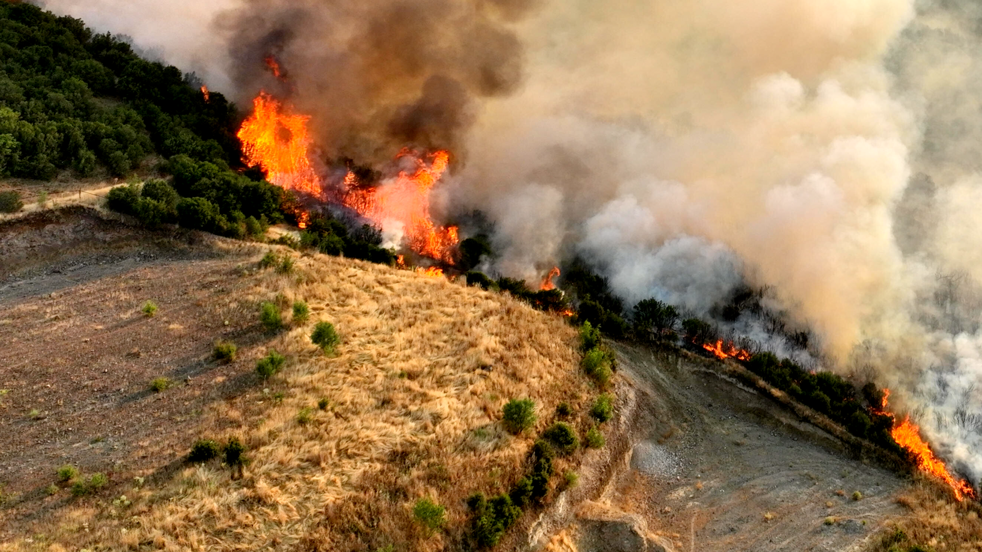 Video: Halb Europa von Extremhitze betroffen