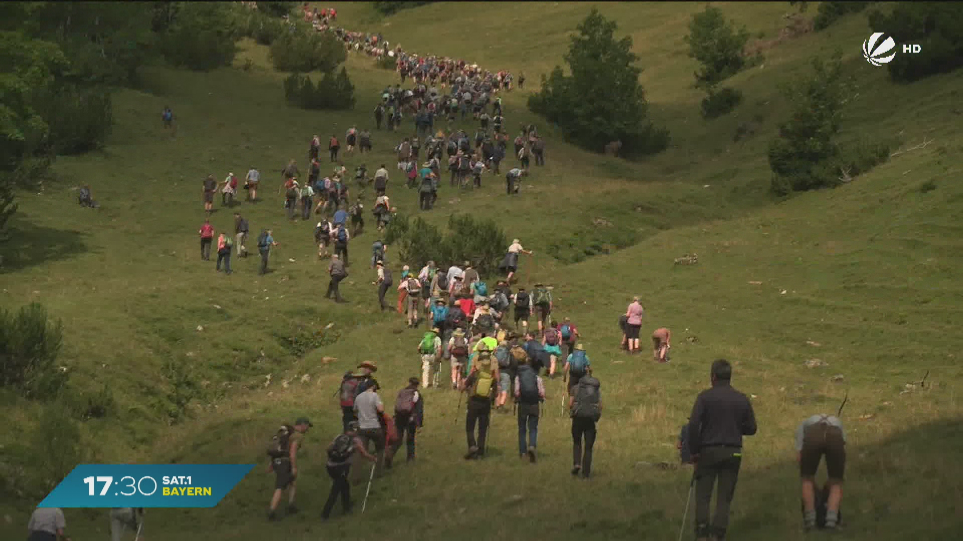 Video: Hauptalmbegehung in Oberbayern: Bauern kämpfen mit Wolf und Tourismus