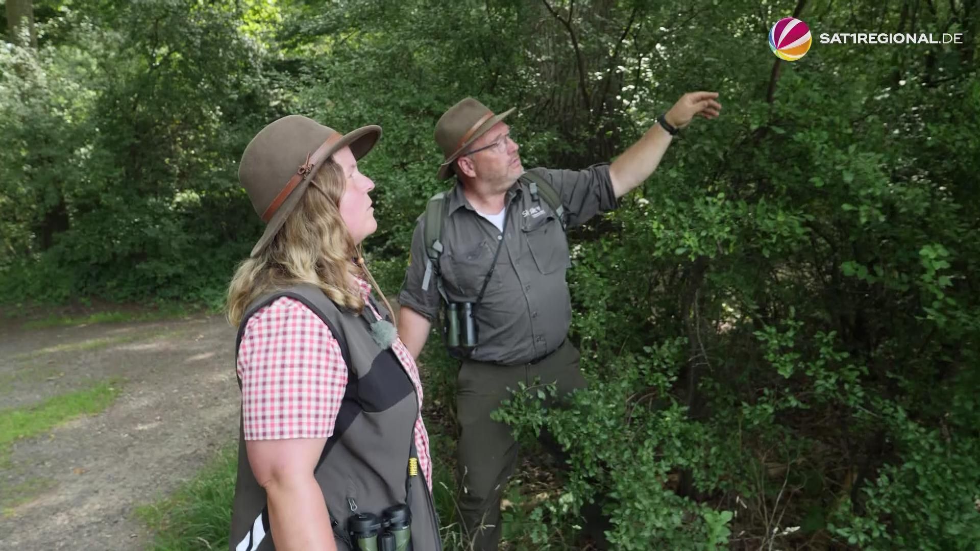 Nature Park Ranger in Schleswig-Holstein for a Year