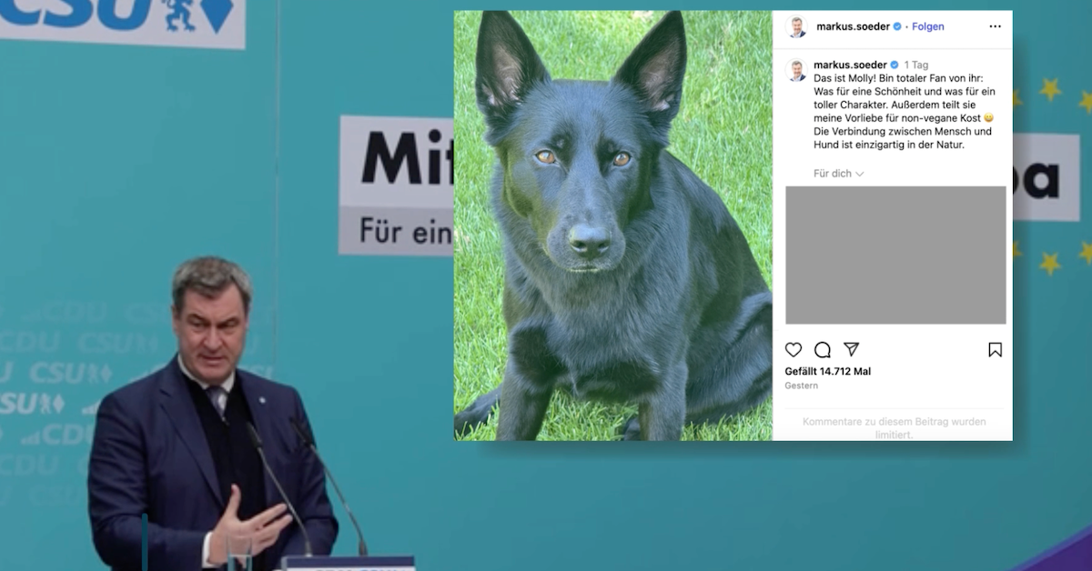 Söders Dog Photo Sparks Shitstorm
